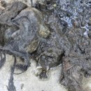 양덕세탁 이미지