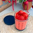 금송환경개발㈜ | 정관장 지엘프로 더블컷 혈당 루틴 에디션 X 룬드런던 후르츠팟 혈당 체지방 더블케어 후기