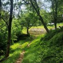 연산동고분군 이미지