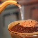 POP ROASTERS