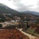 감나무집공할머니민박 이미지