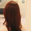 아뜰리에 7 이미지