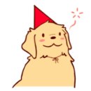 우아하개 이미지
