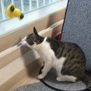 파인드스토리 이미지