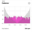개포로 | 야탑 개포로 24km 3차 LSD 러닝–강도 조절 장거리