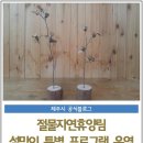 절물생태관리소 (절물자연휴양림) 이미지