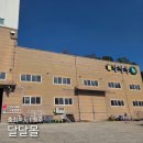 달달몰