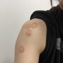 저스트비크로스핏 | 전주크로스핏 :: 운동 너무 즐겁다 ₍₍ (ง ˙ω˙)ว ⁾⁾ @저스트비크로스핏