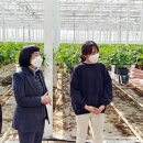 법인구례팜