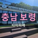 몽마르뜨이대로라이브카페 | 보령 아기랑 가기좋은 대형카페 타미띠에 내돈내산 후기