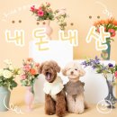 고위드테일