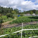 마유산로 이미지