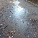 일산호수공원 | 일산호수공원 7km 러닝 후기｜겨울 시작을 알린 하루, 누적 100km 달성