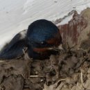 수옥경로당 이미지