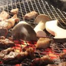 여우사이 이미지