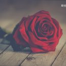 화성실버하우스 이미지