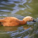 광진문화예술회관 이미지