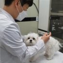 제주우리동물병원 이미지