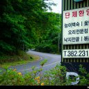 화진산장식당 티스토리