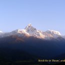 사랑코트 이미지