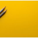 글쓰기(에세이) 이미지