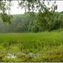 물영아리오름 이미지