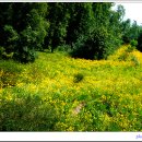 공룡알화석지방문자센터 이미지