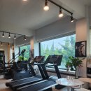 웰니스피티스튜디오 이미지