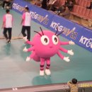 유관순체육관 이미지