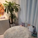 리치펫하우스 | 향동 애견 호텔 리치펫하우스 후기