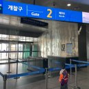 터미널게임장 | 배 타고 제주도 가기, 완도항에서 제주항 골드스텔라호 스위트룸 아이랑 후기