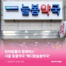 메디팜늘봄약국 이미지