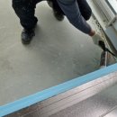 금정기초 이미지
