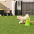 홀리독풀빌라 이미지