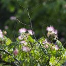 와우호수공원 이미지