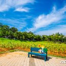 국화황토공원 이미지