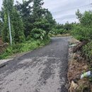 보성리-3 이미지