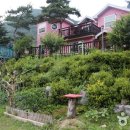 강가의 성 이미지