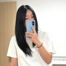 연산동 미용실 이철헤어커커 연산역점 블루블랙 염색 후기