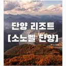단양 관광 가이드/소노벨 단양 리얼 후기, 흙마늘 닭강정, 마늘빵