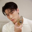 키헤어 이미지