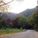 몽양길 Daum카페