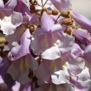 간식시간 이미지