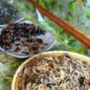 군산행복한집 이미지