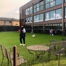 독플래닛 이미지