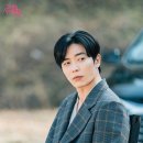 라이언상사 이미지