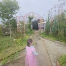 야생화그리기 | [안산 화정동 카페] 팜플로리아 – 아이랑 함께 힐링하기 좋은 야생화 정원 카페 💛