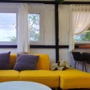 애견시선 이미지