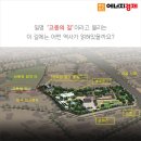 12월23일(화)역사탐방길리딩~^^서울로7017.덕수궁.돌담길.고종의길.정동길.경희궁.서울역사박물관,광화문,청계광장 이미지