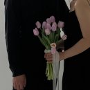 W.06 볼라르 스튜디오 촬영 후기 5월 B타입 (feat. 손가영 실장님 지정)